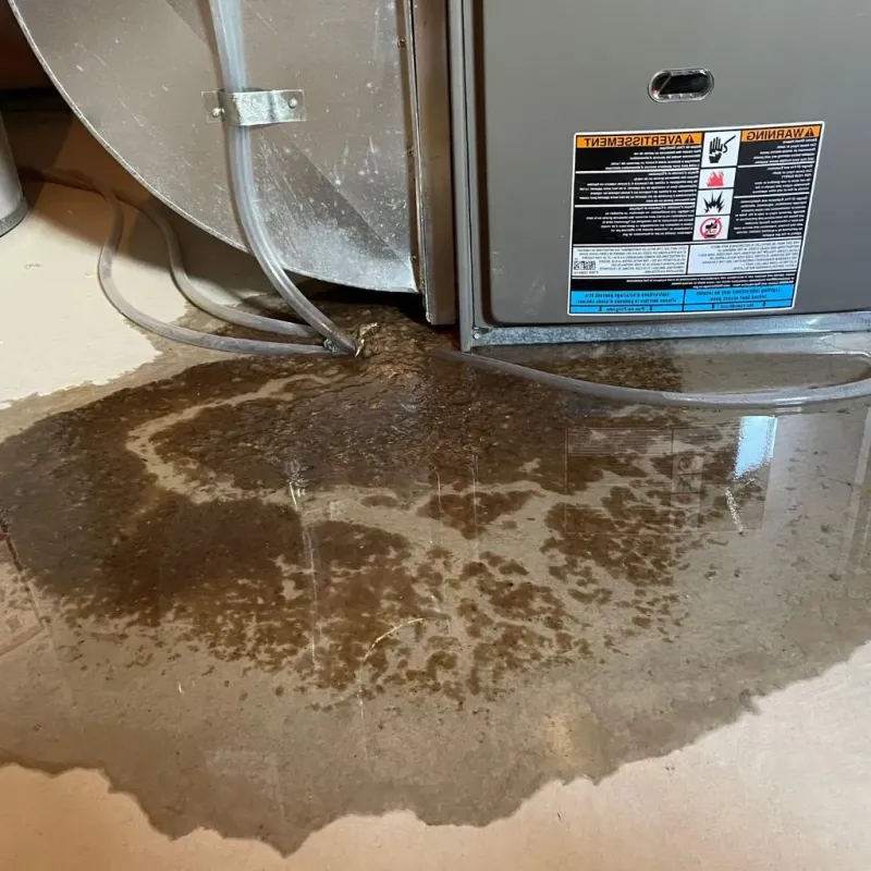Pipe Burst and Leak Restoration in Uxbridge, MA