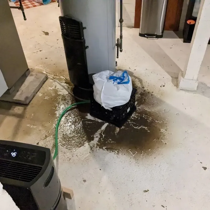 Sewage Backup Cleanup Service in Uxbridge, MA
